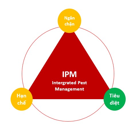 ipmjpg
