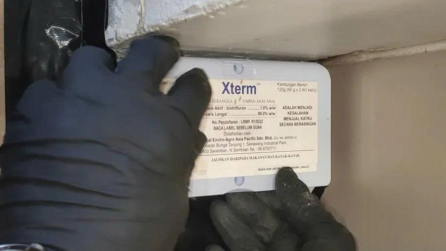 xtermjpg