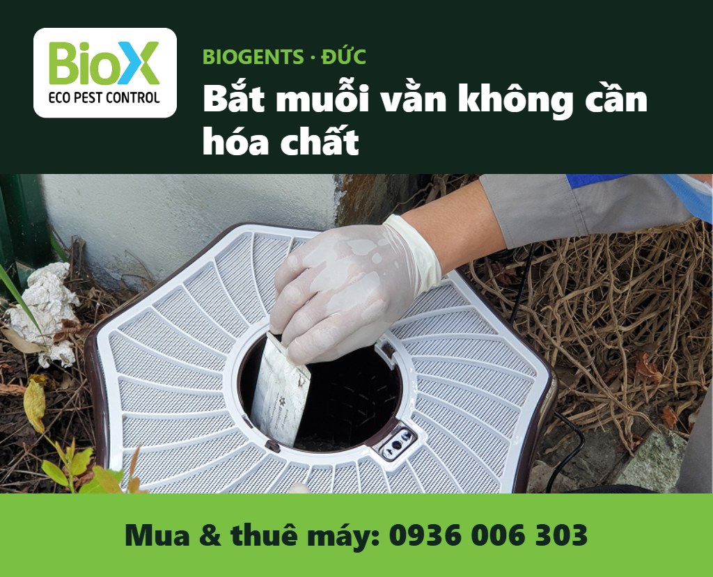 biox banner biogentsjpg