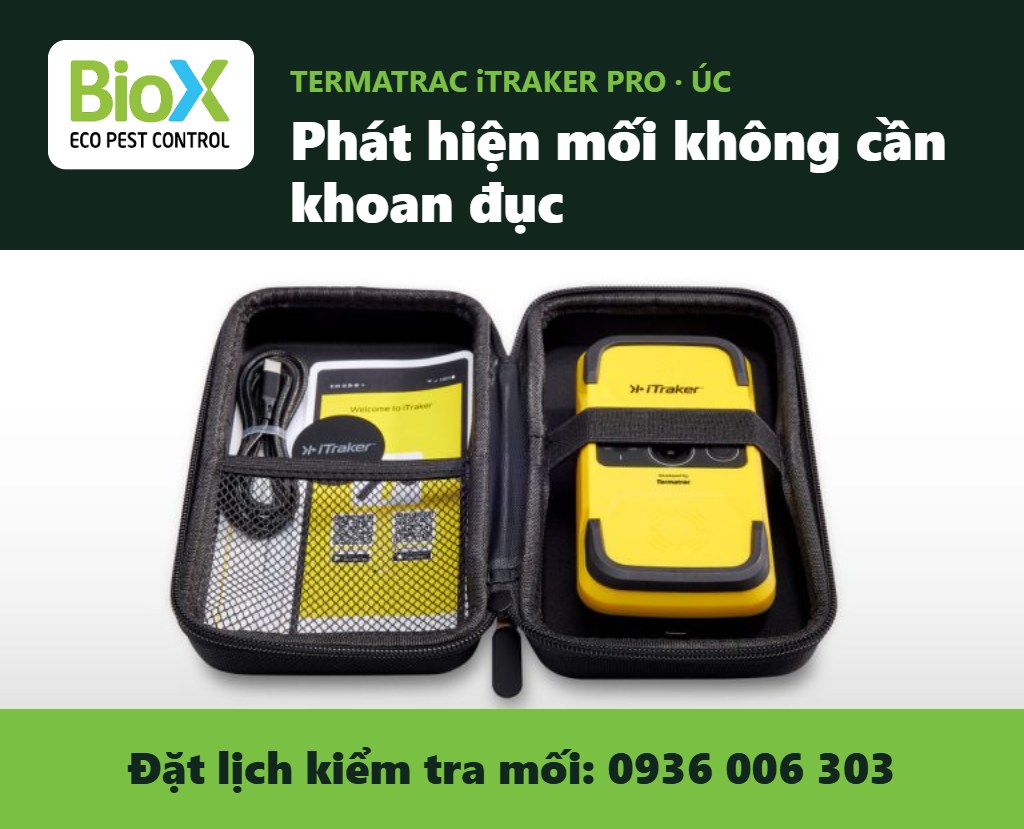 biox banner termatracjpg