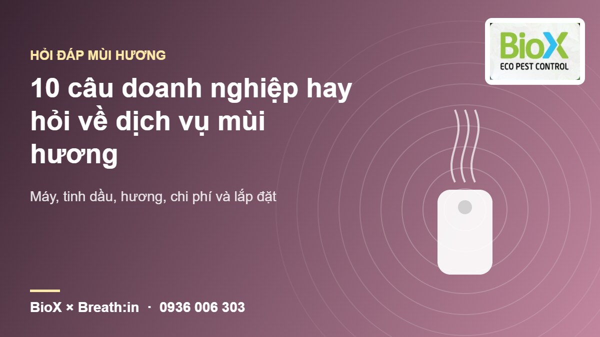 biox hoi dap mui huong jpg