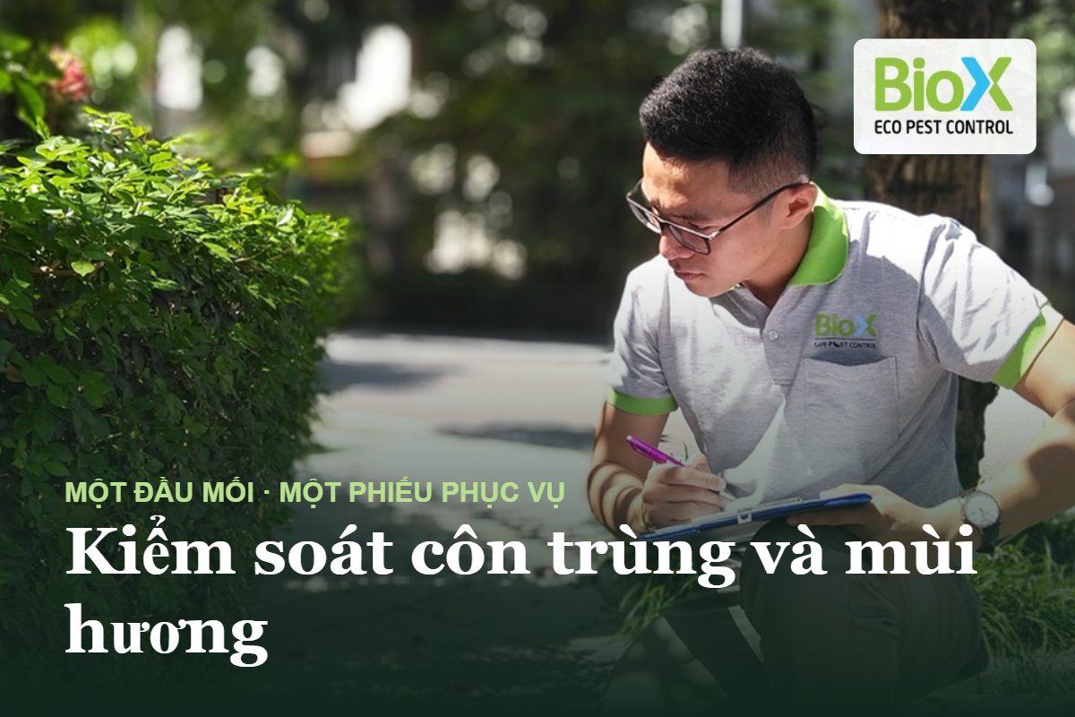 biox kiem soat con trung va mui huongjpg