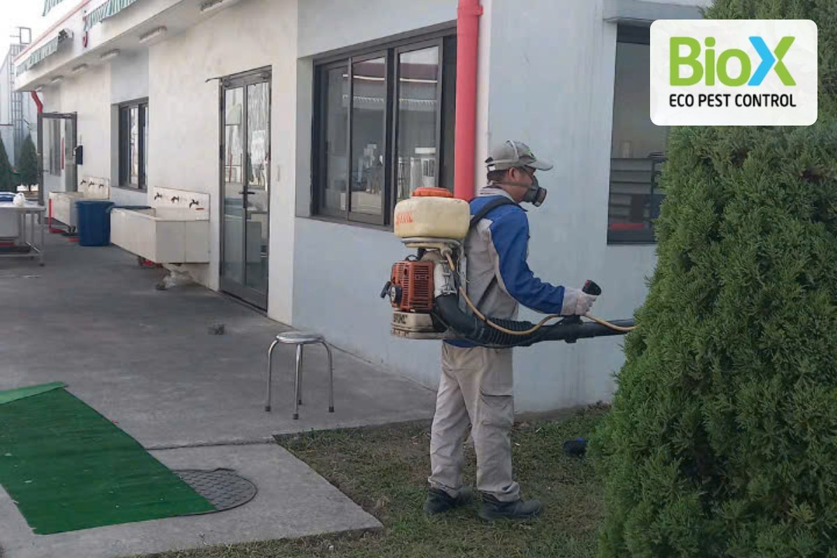 biox kiem soat dich hai kho lanhjpg