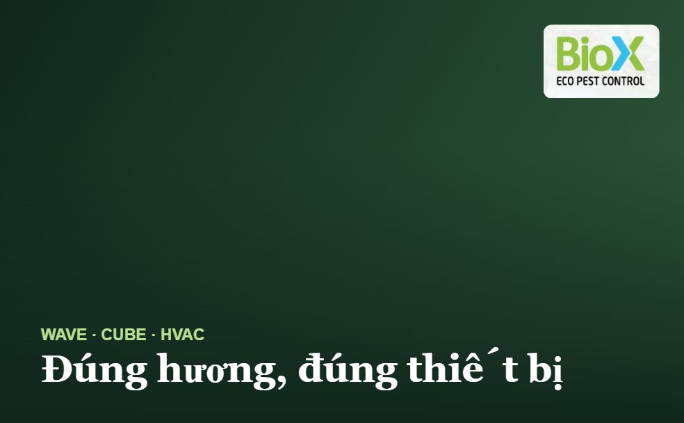 biox mui huong overview 2jpg
