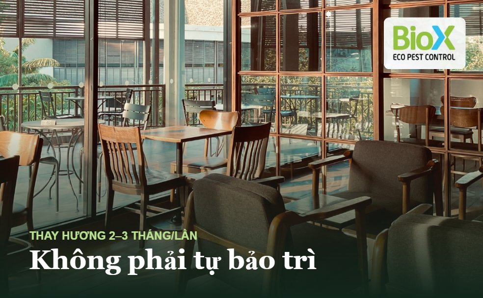 biox mui huong overview 3jpg