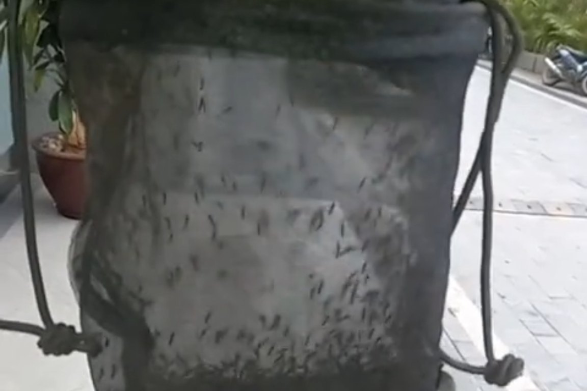 biox video biogents jpg