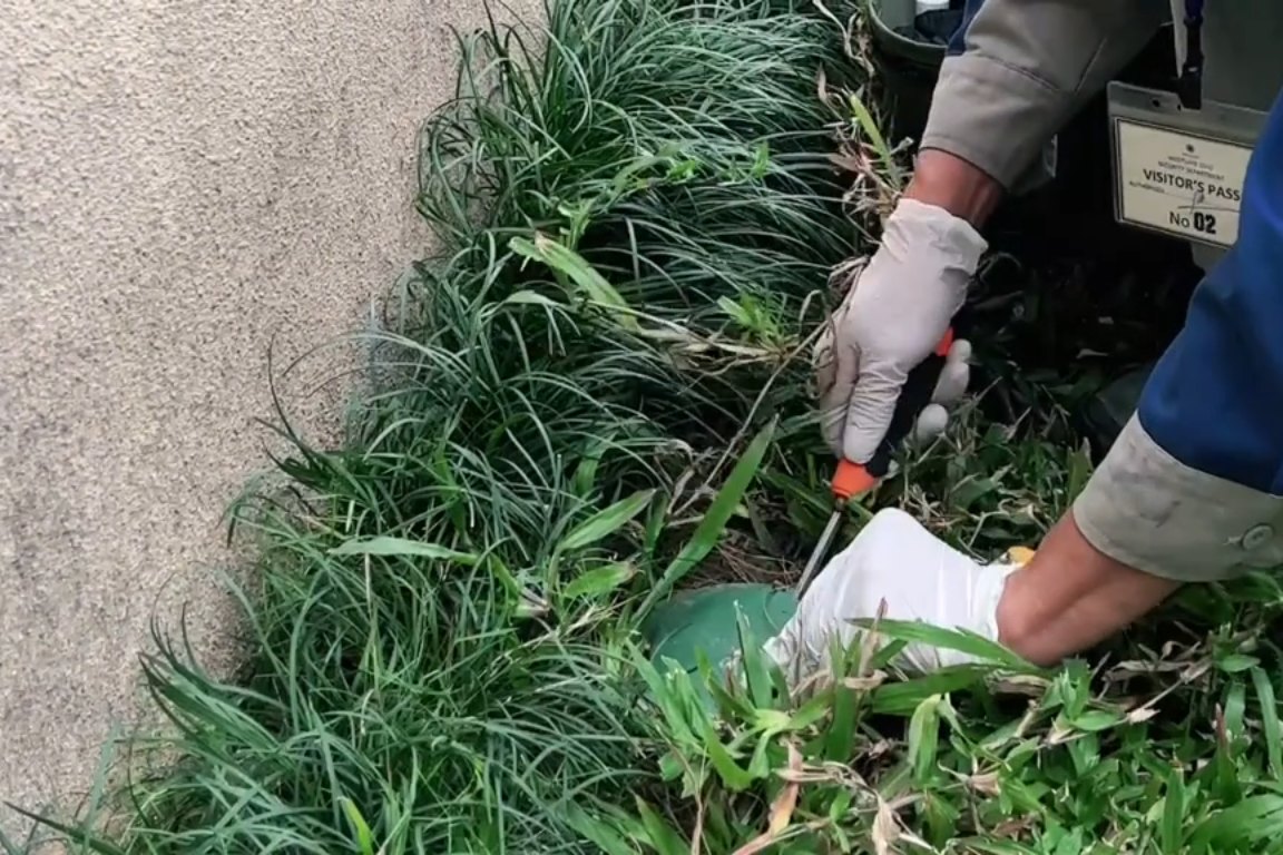 biox video kiem tra moi jpg