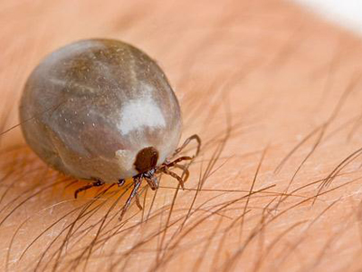 1121 bi bo ve can dotjpg