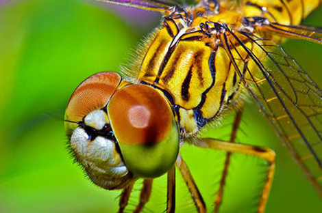 3129ab8a 03e4 4b2e 8f8e ce99530195bfjpg