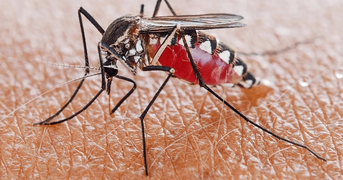 image 20220920093735 2jpeg