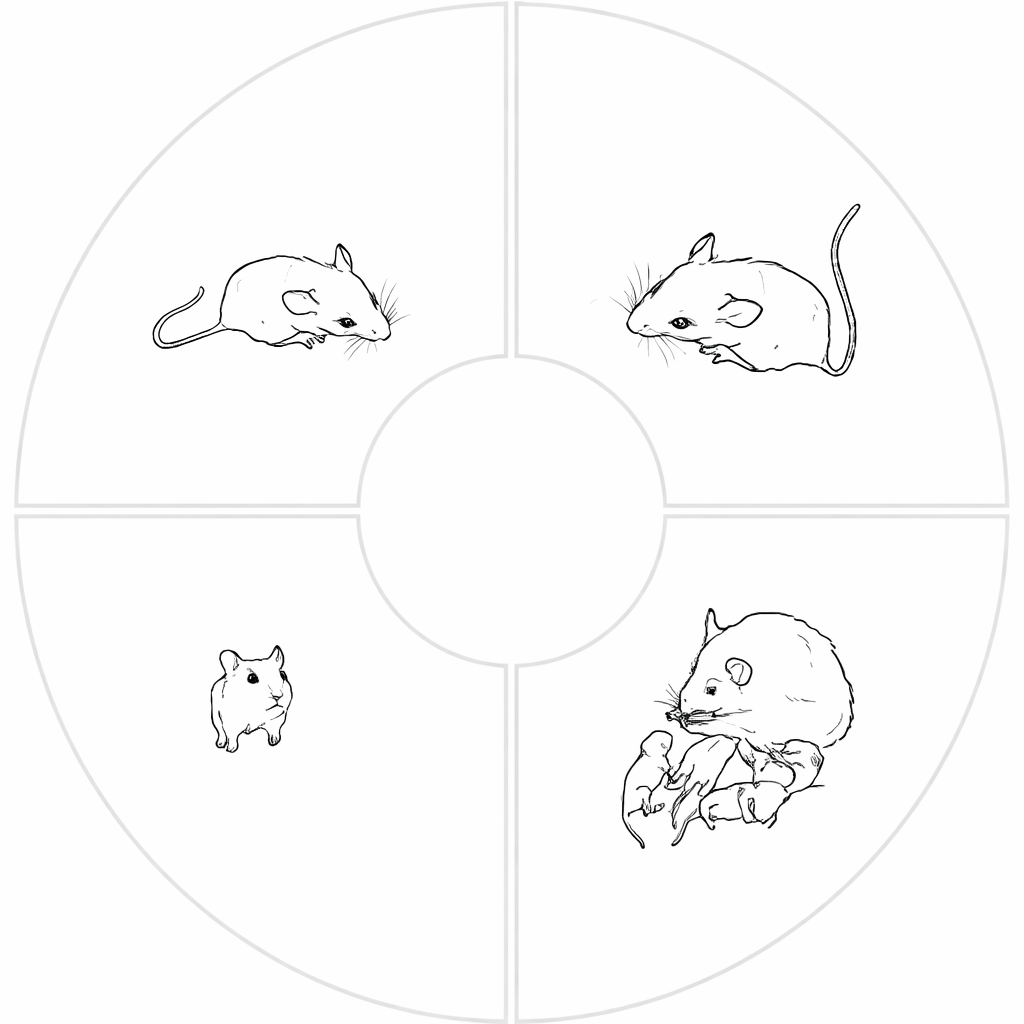 chatgpt image 20 10 14 11 thg 3 2026png